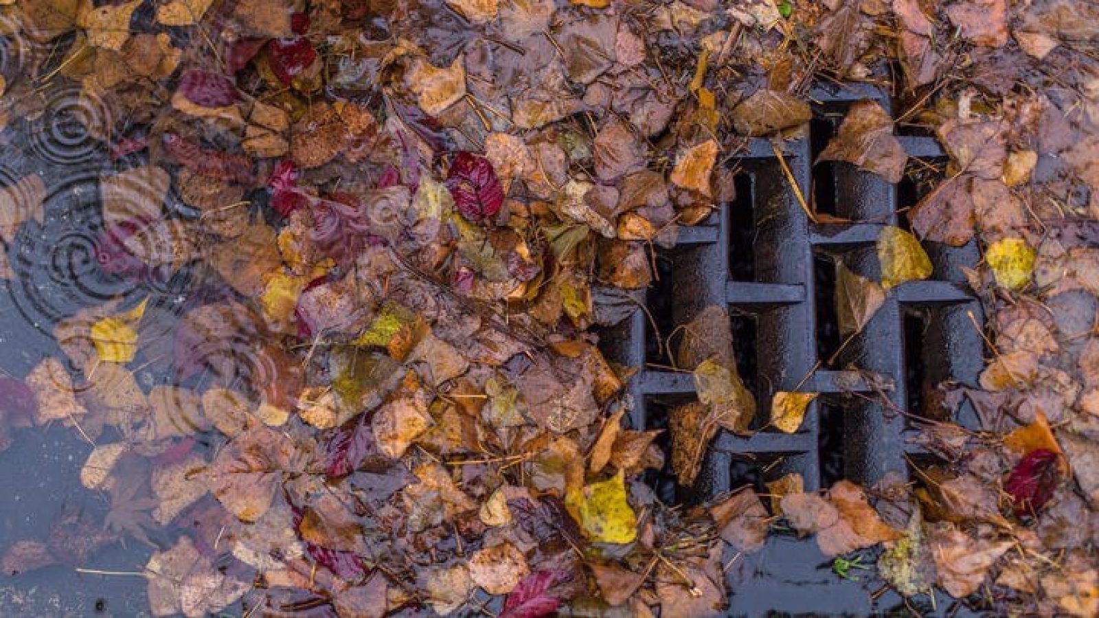 Winter maintenance: How businesses can keep their sites operational