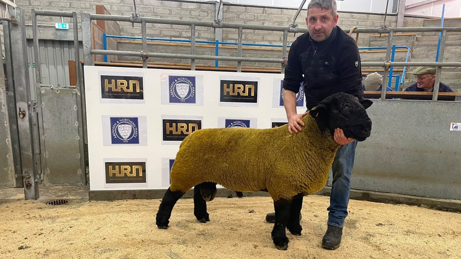 Champion Suffolk J B  L Swanson East Murkle
