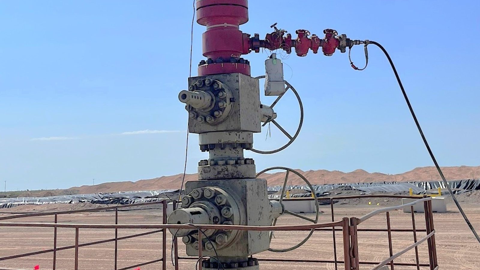 FliCS assembly installed into the wellhead