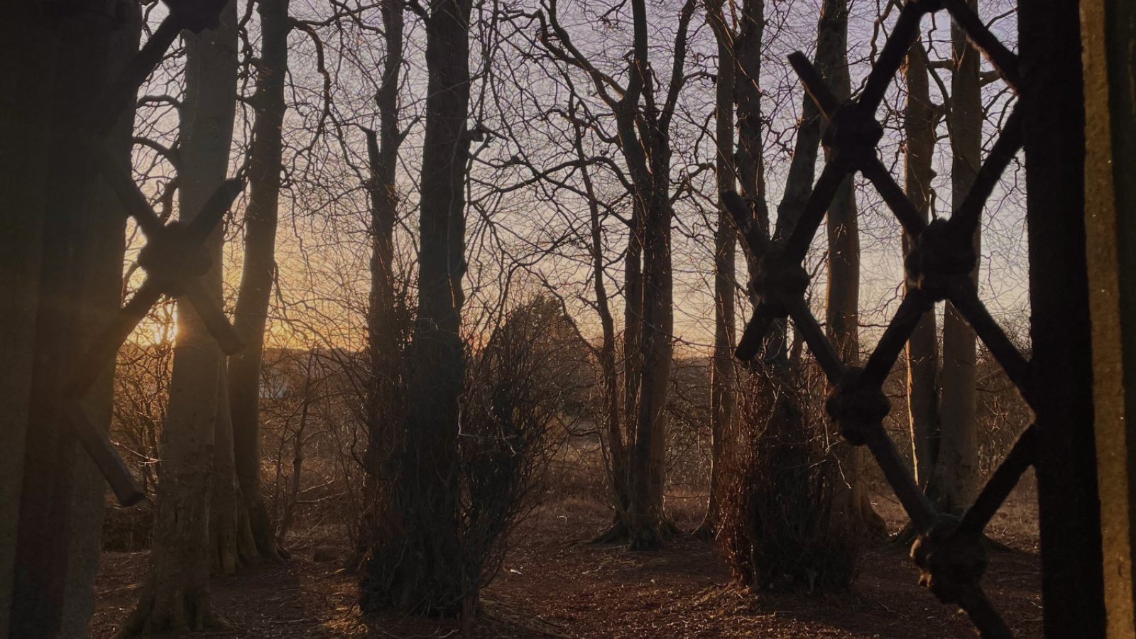 Last year’s winners - Through the Broken Gate by Julia Gunn (young people)