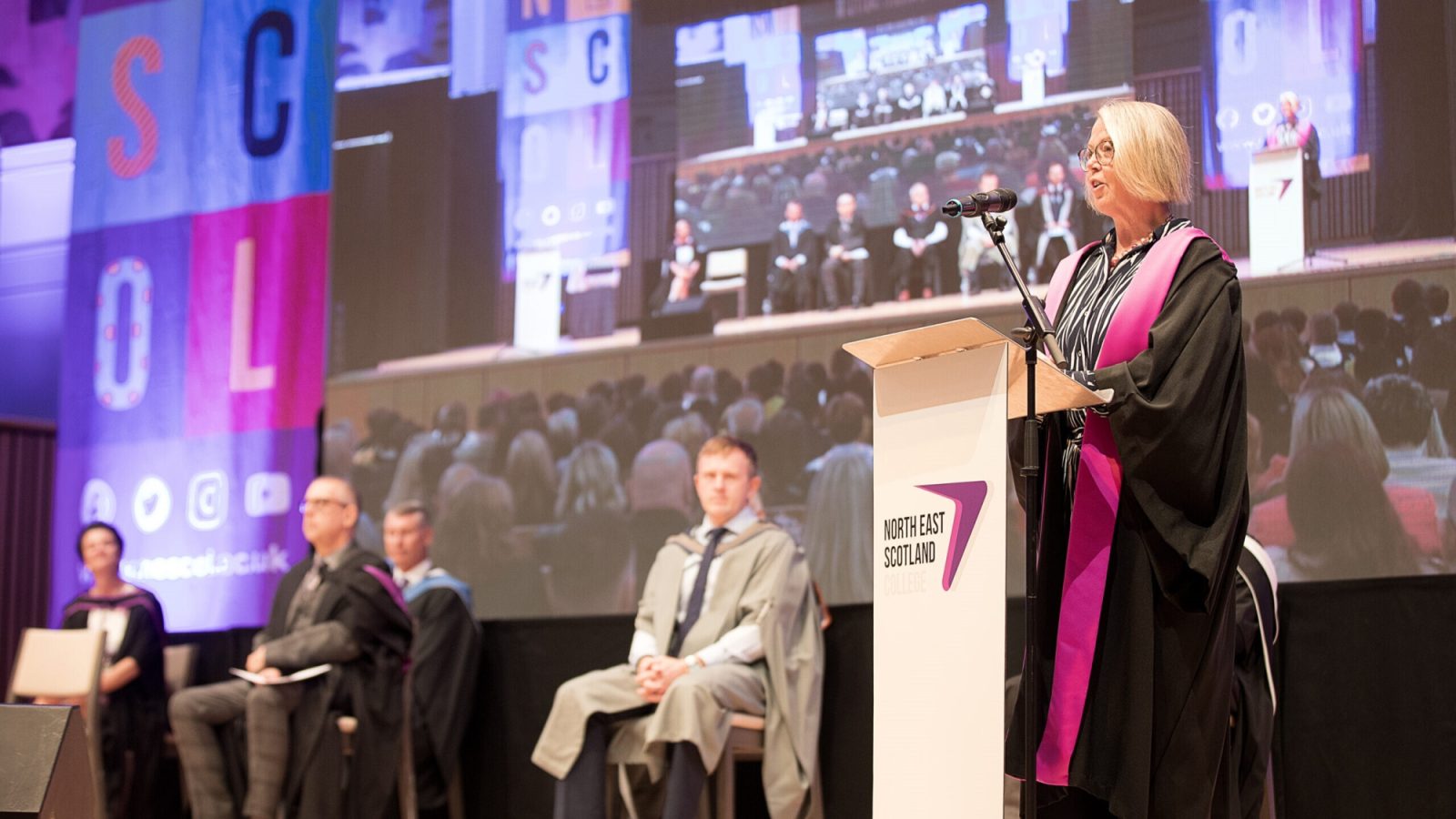 Susan Elston, Chair of the NESCol Regional Board
