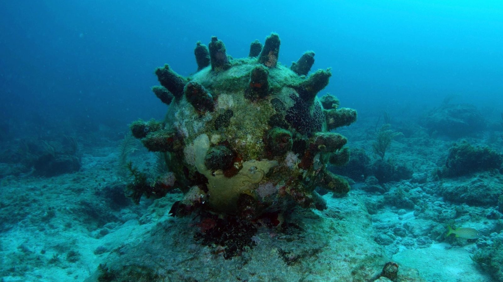 Example of an unexploded ordnance on the seabed
