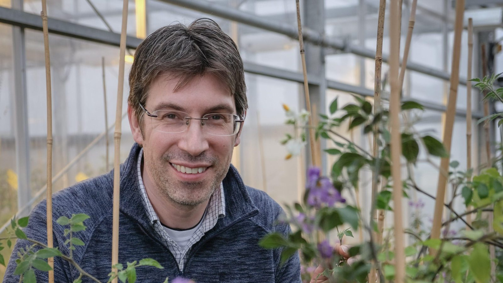 Professor Ingo Hein, Head of Potato Genetics at the Hutton