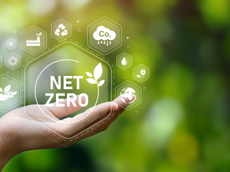 C Sam Net Zero