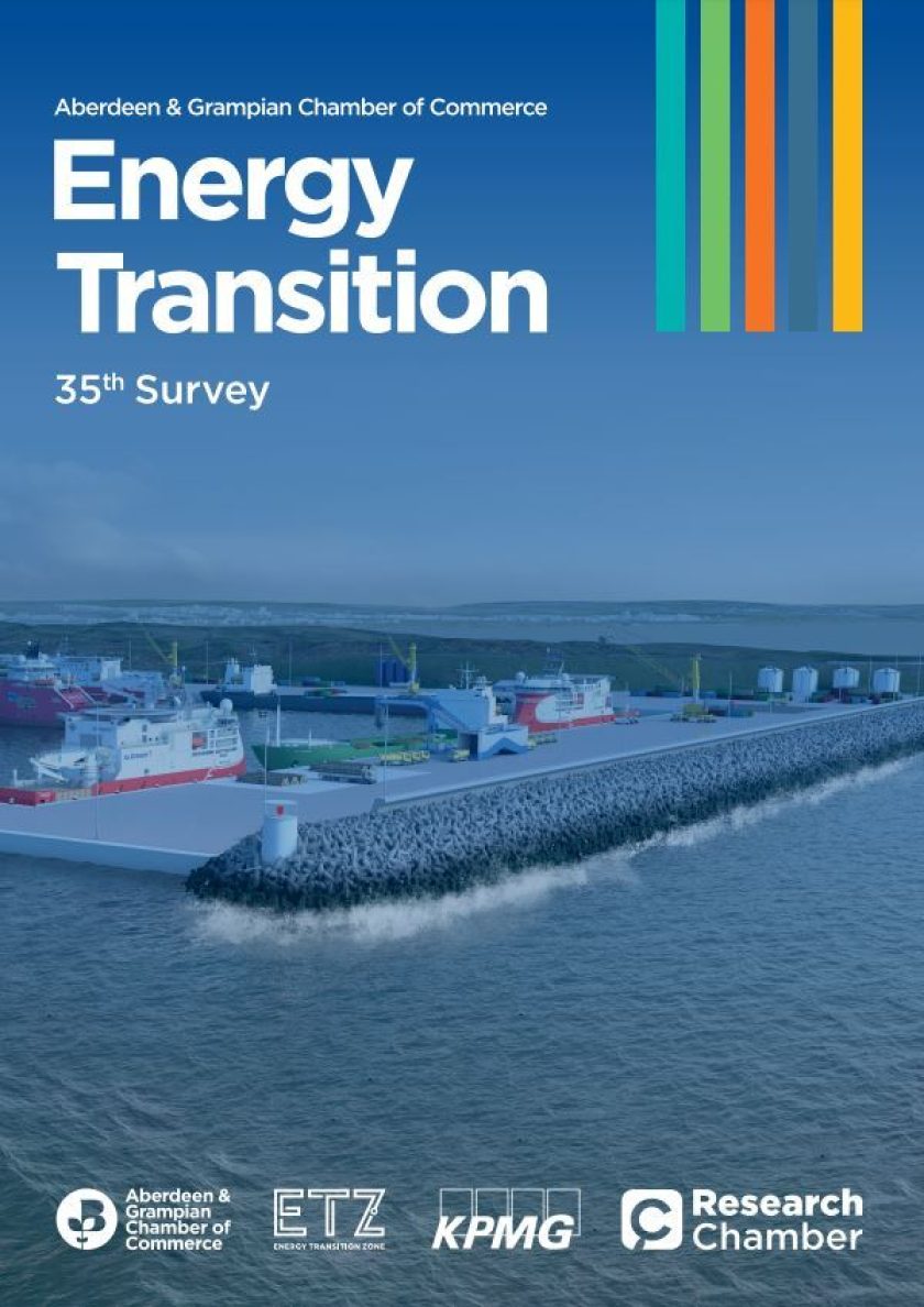 Energy Transition Survey 35