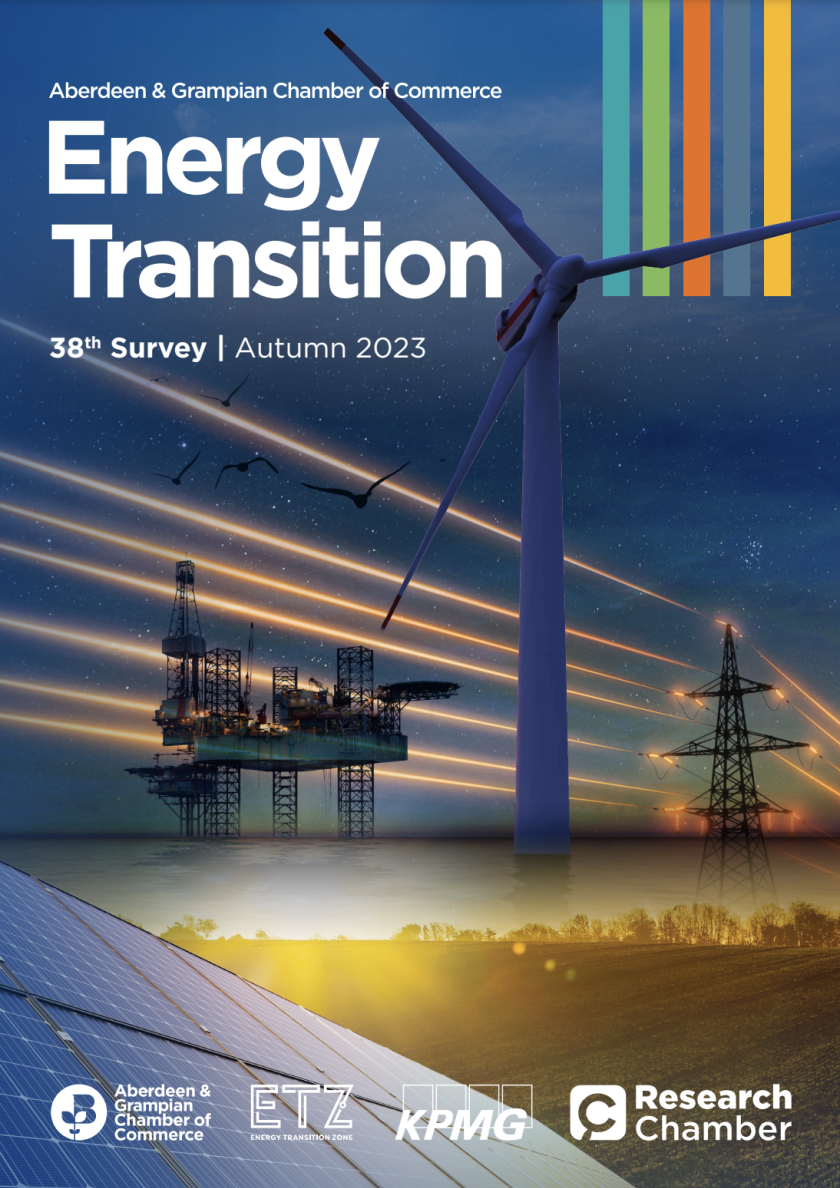 Energy Transition Survey 38