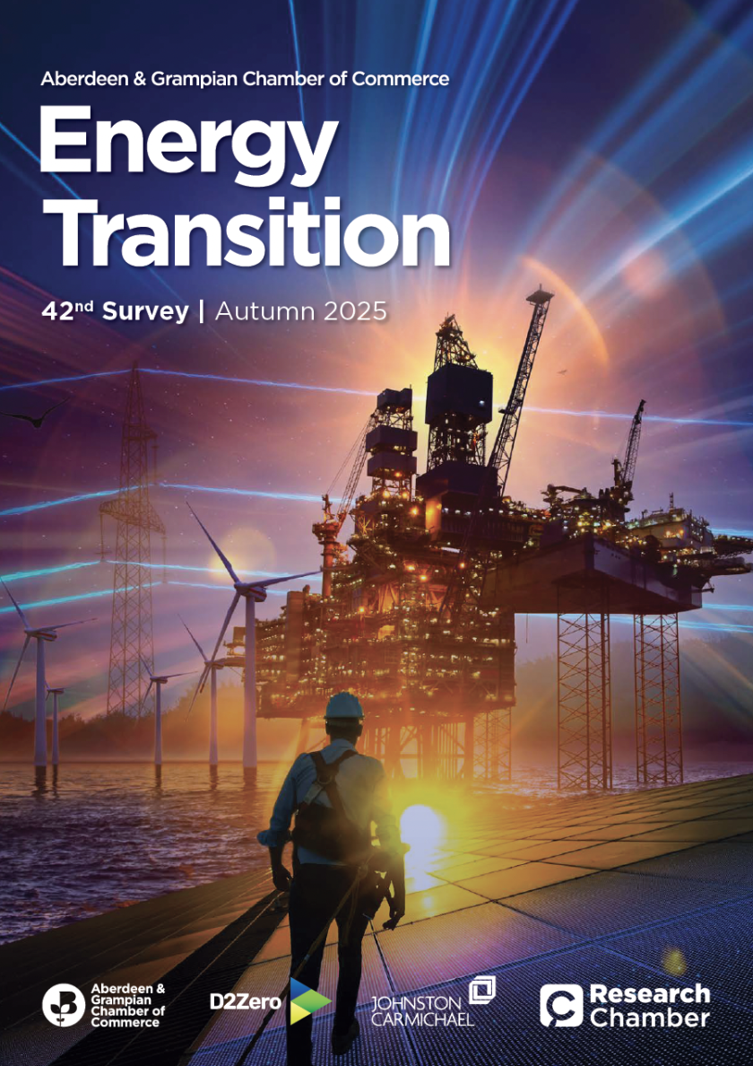 Energy Transition Survey 42
