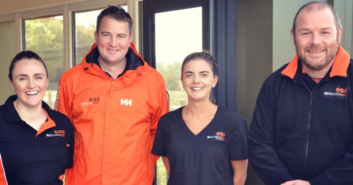 OpenGraph Image for Paw-some news for Fife pet owners as vets given RBS funding boost