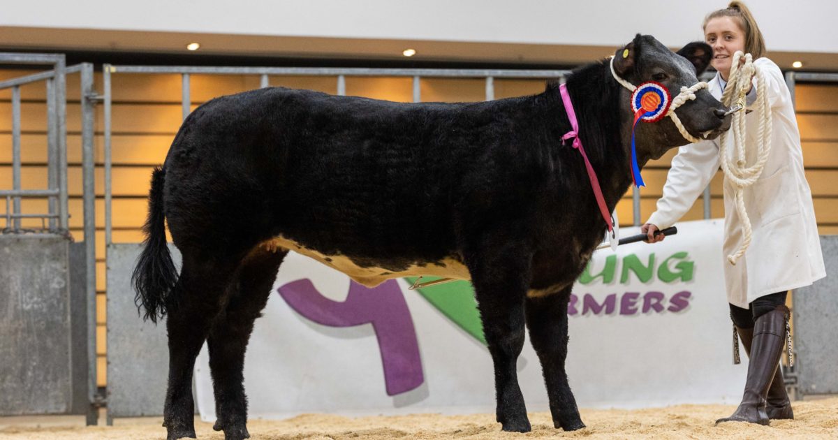OpenGraph Image for Young Farmers gear up for overwintering competition at Thainstone Centre