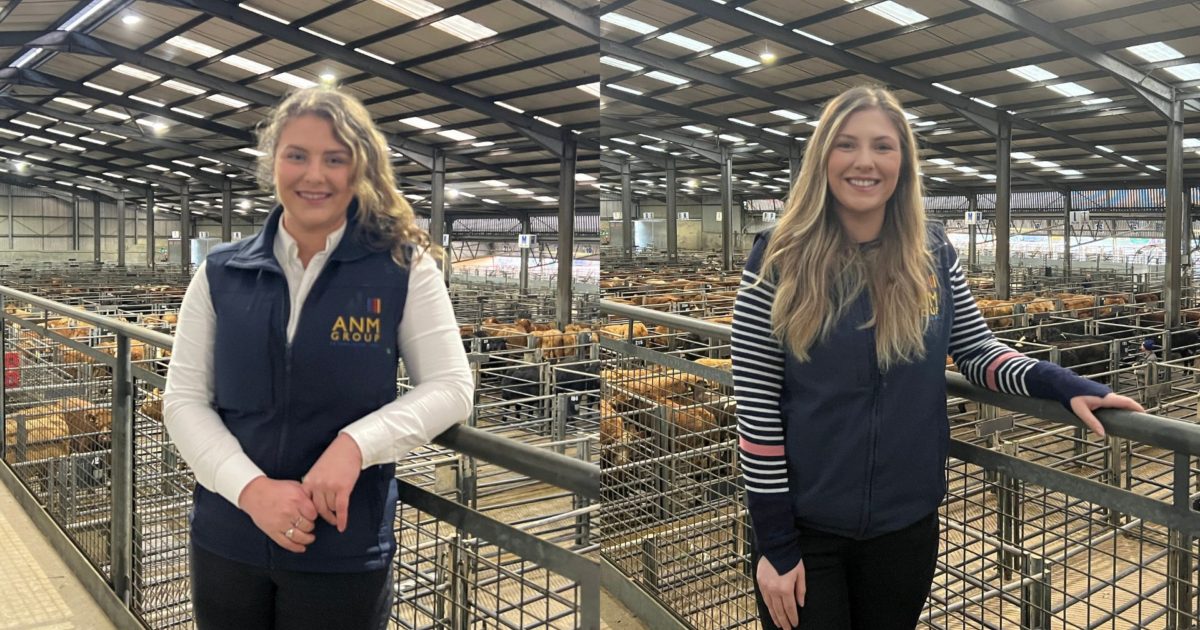 OpenGraph Image for Aberdeen and Northern Marts announce new appointments to its canvassing team