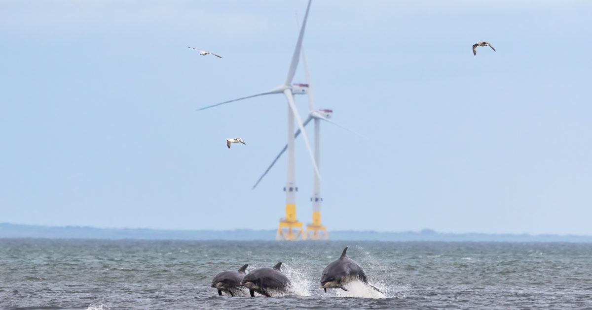 OpenGraph Image for AREG launches 2023 photography competition to capture energy in action