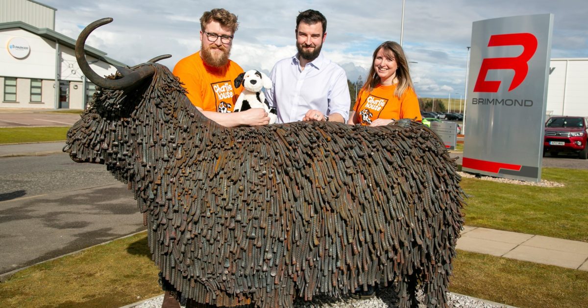 OpenGraph Image for Brimmond’s latest acquisition from Charlie House is quite a ‘coo’!