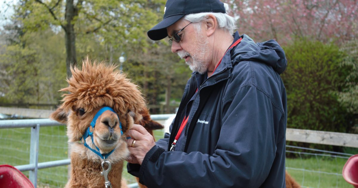 OpenGraph Image for Camphill School Aberdeen ‘alpaca whisperer’ shortlisted in Scottish Charity Awards
