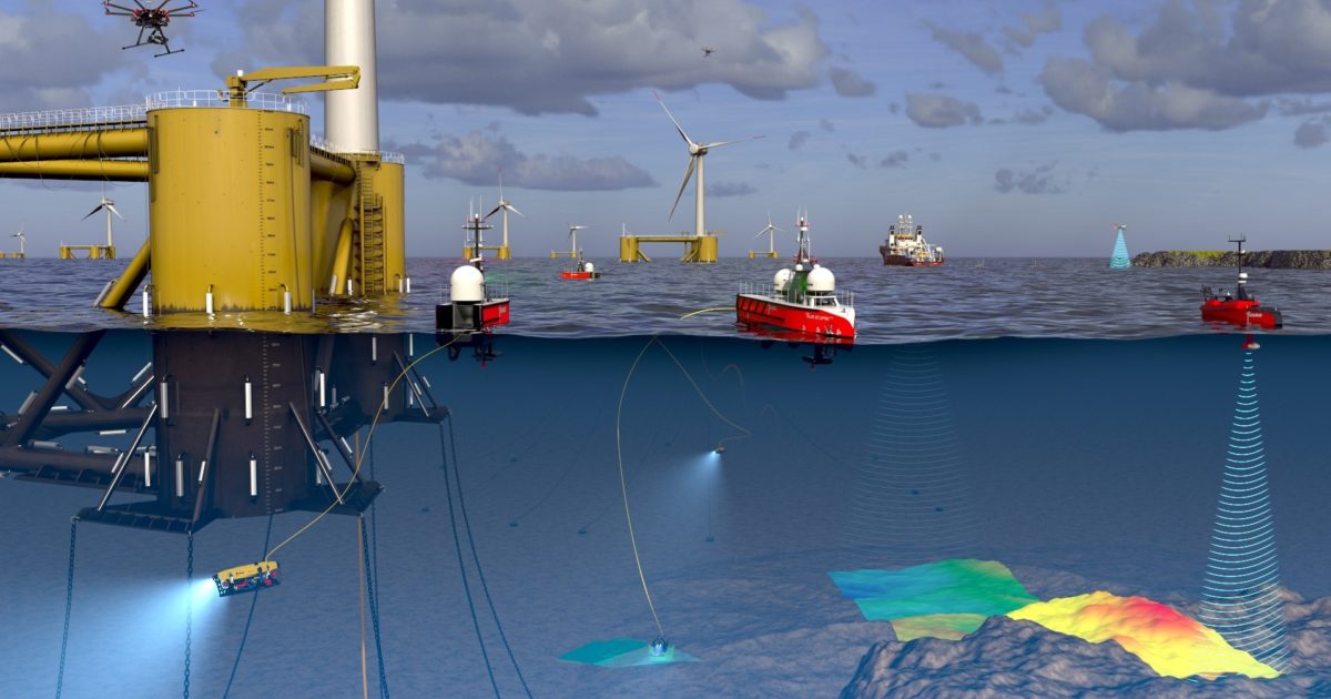 OpenGraph Image for BeWild: Using eDNA to measure biodiversity at offshore wind farms