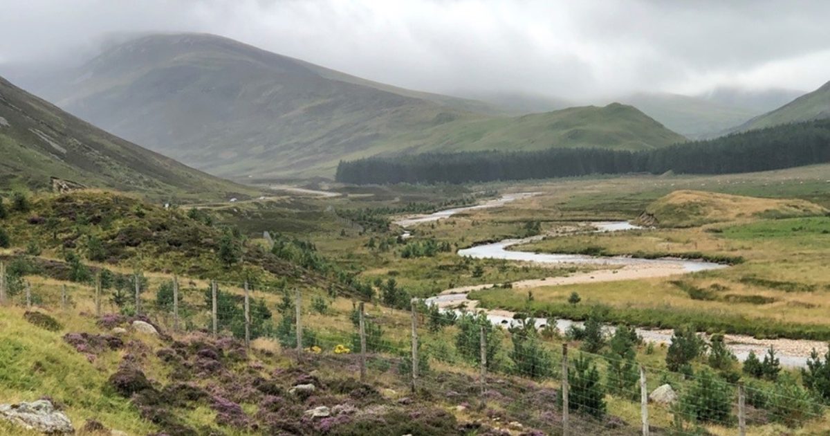 OpenGraph Image for Funding for Dee to save salmon and reduce flooding impacts