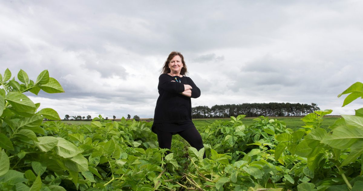 OpenGraph Image for James Hutton Institute scientist appointed Commissioner on Food, Farming and Countryside Commission