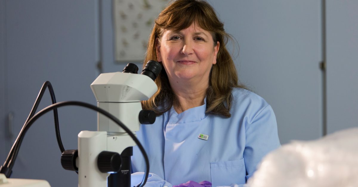 OpenGraph Image for Hutton forensic soil scientist awarded RSE medal for earth science