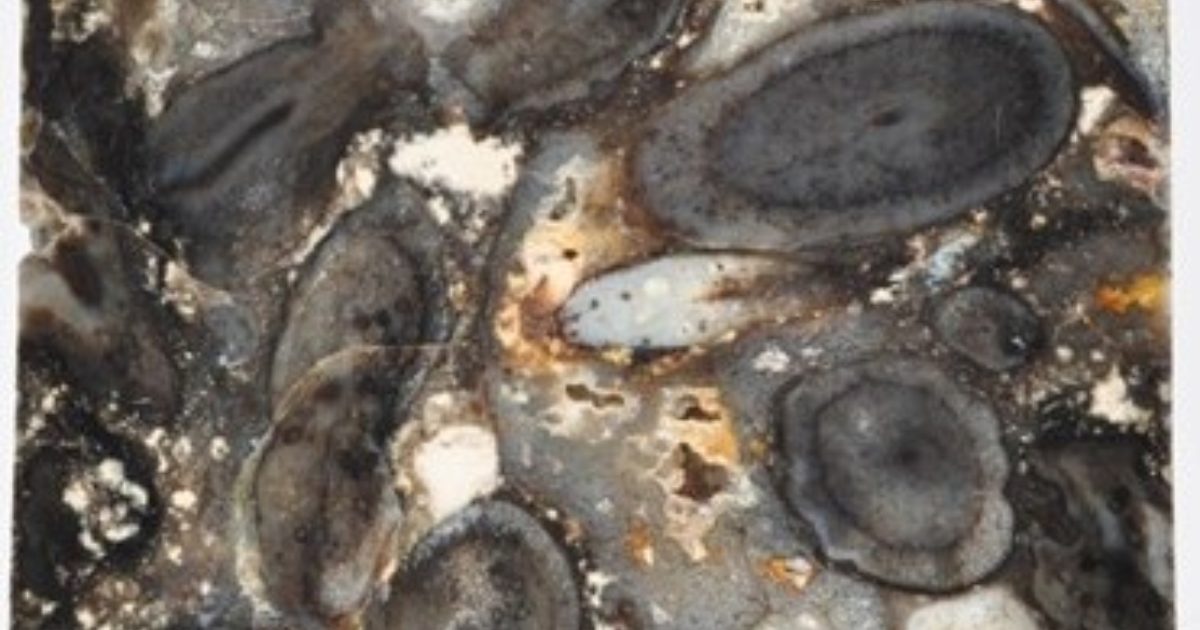 OpenGraph Image for Earth’s oldest environmental clean-up…400 million years ago