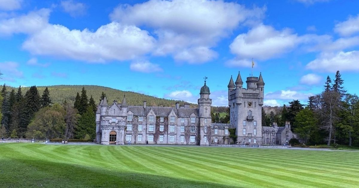 OpenGraph Image for Tidy Green Clean sponsors the videography for RunBalmoral 2023 for a second year