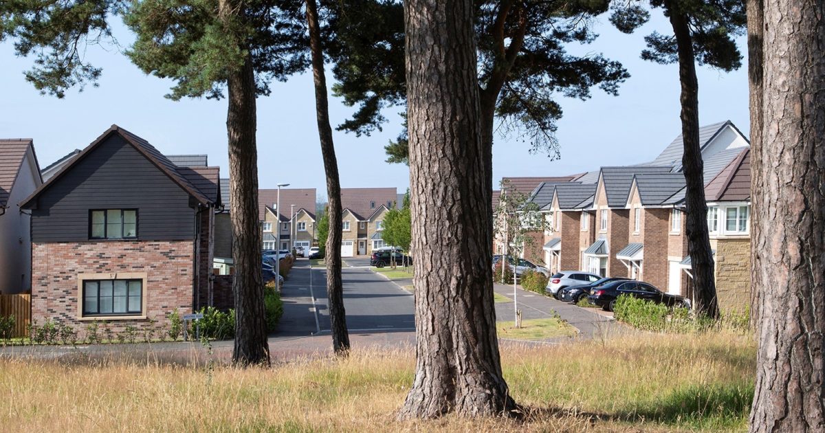 OpenGraph Image for Stewart Milne Homes achieves positive sustainability rating