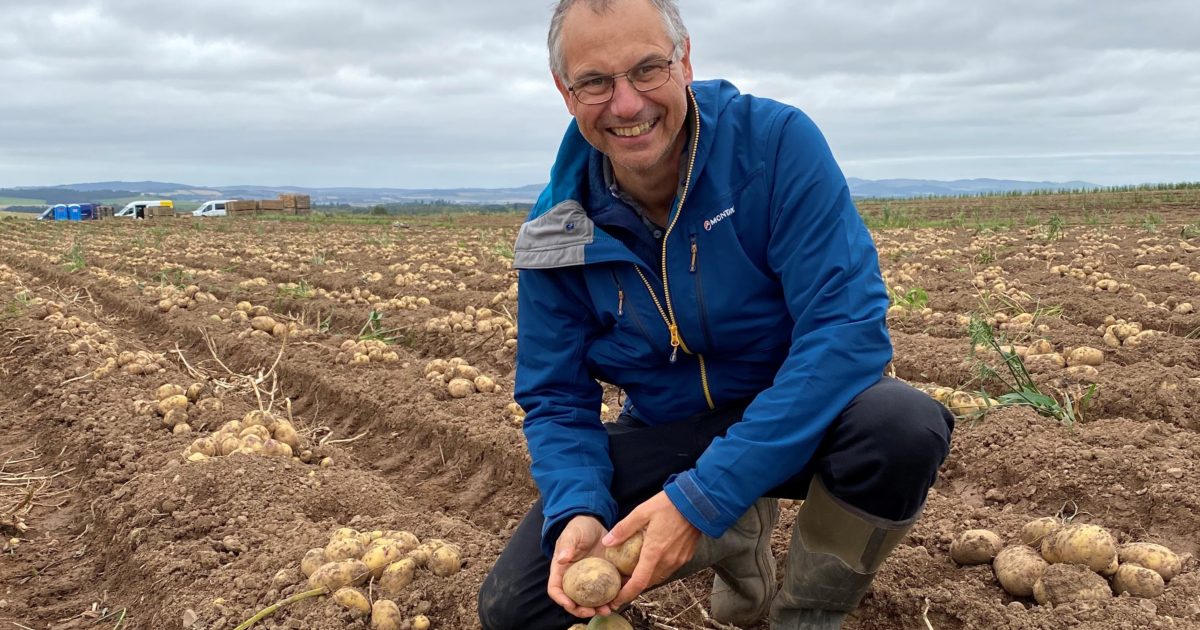 OpenGraph Image for Scientists discover potato varieties resistant to pests