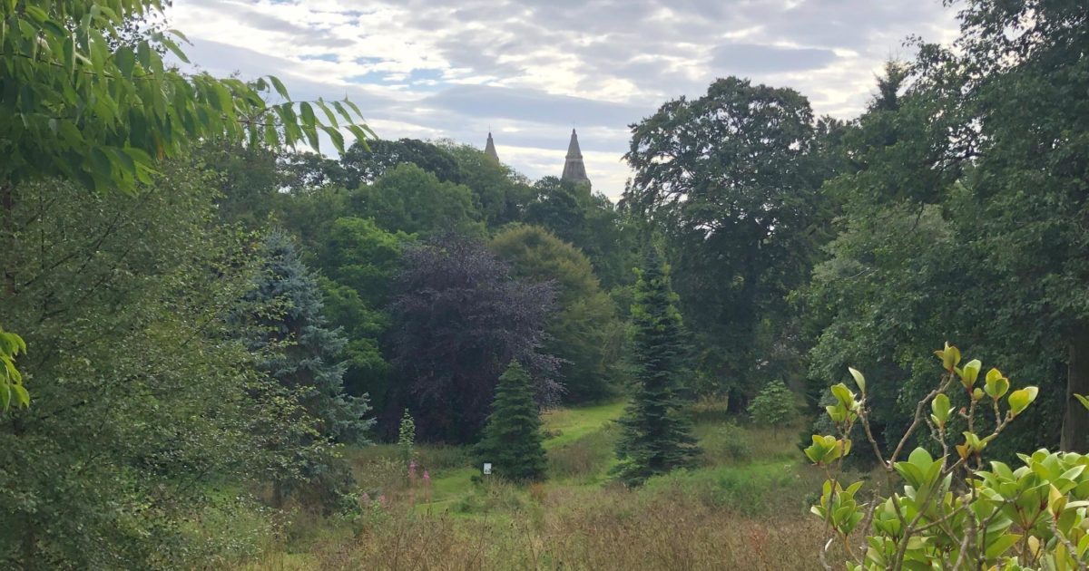 OpenGraph Image for Historic garden study to help manage vital urban green spaces