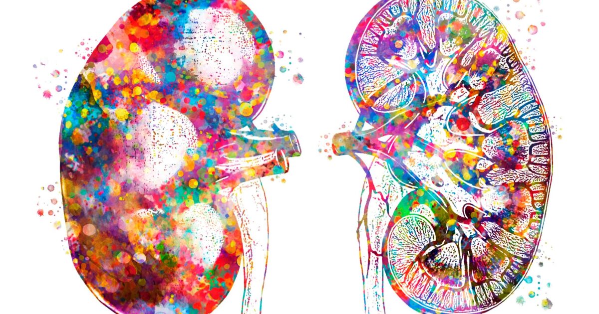 OpenGraph Image for Aberdeen-led study aims to reduce inequalities in the diagnosis and treatment of kidney disease