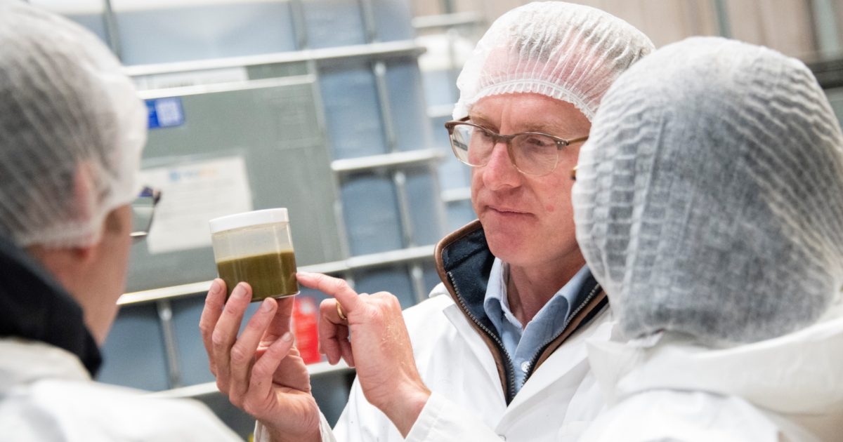 OpenGraph Image for University research inspires first Scottish commercial cold pressed hemp oil production