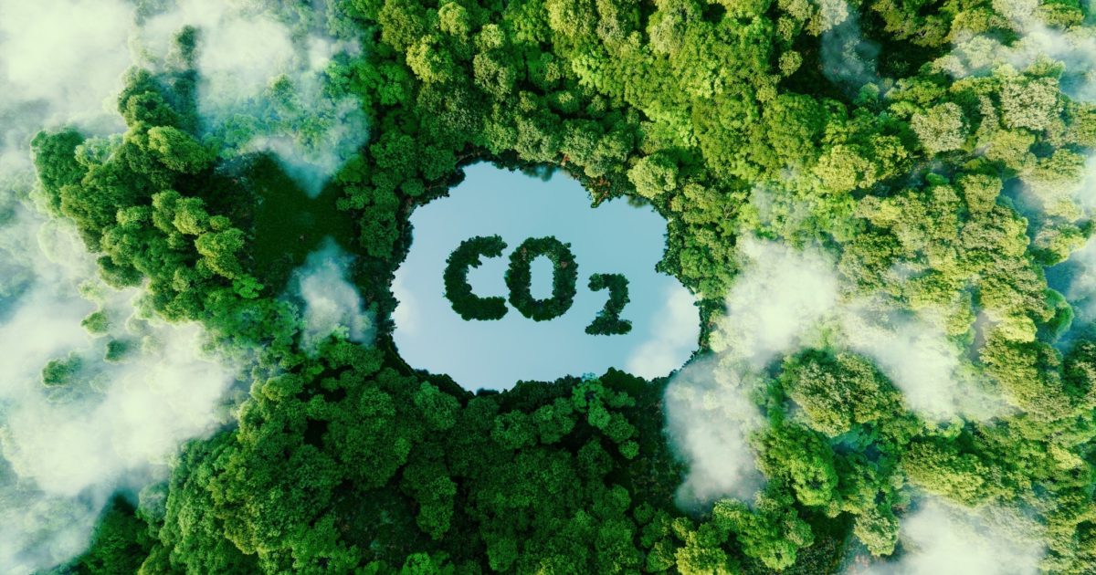 OpenGraph Image for A collaborative approach to logistics and emissions optimisation