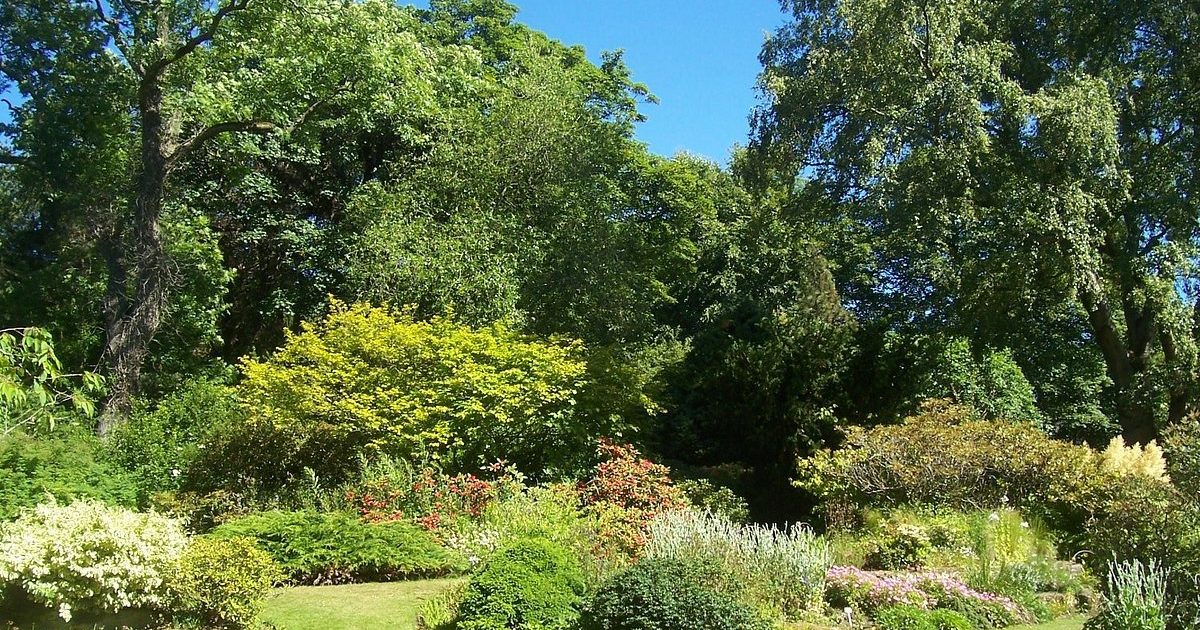 OpenGraph Image for Cruickshank Botanic Garden to host Fascination of Plants Day activities