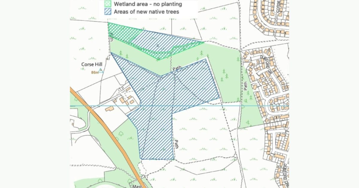 OpenGraph Image for Public consultation for woodland at Scotstown Moor