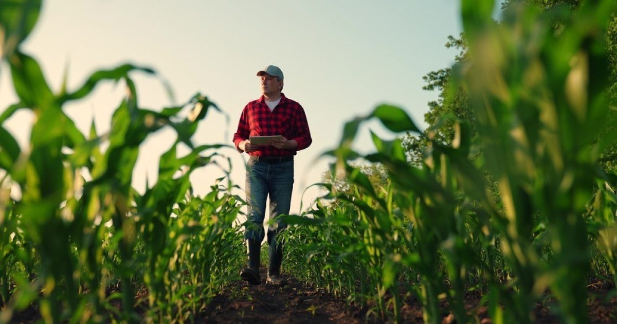 OpenGraph Image for Farmers on brink of strike action in UK first