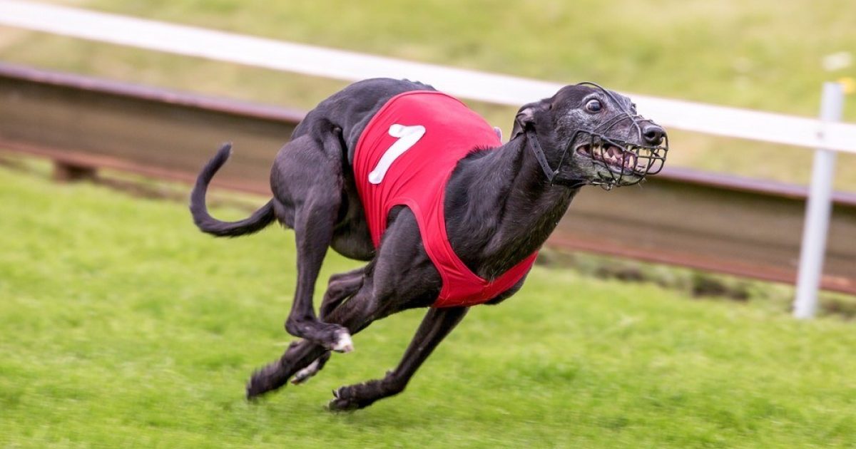 OpenGraph Image for Monday, September 8, 2025: Today's business headlines