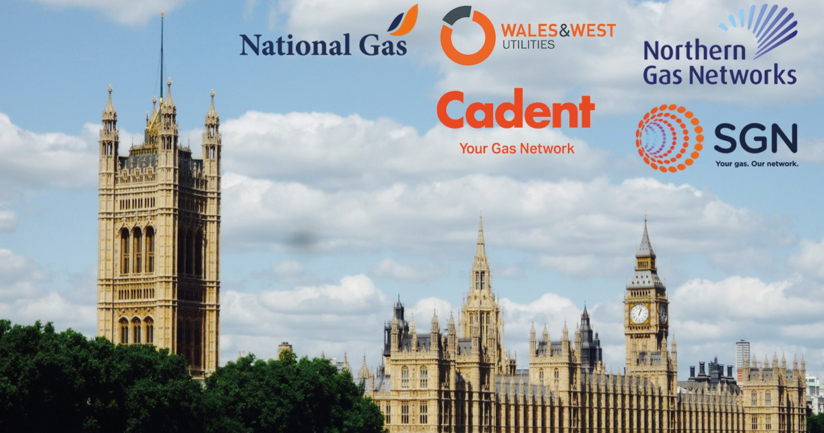 OpenGraph Image for Peers claim using hydrogen to heat homes 'not a serious option'