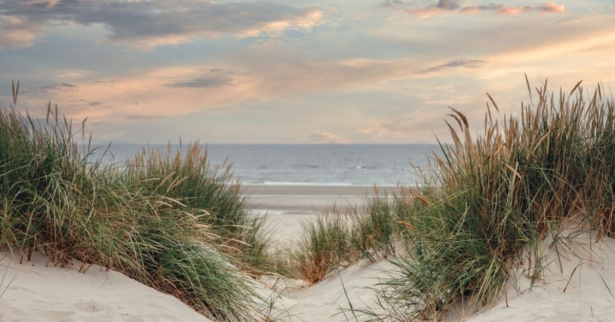 OpenGraph Image for UK's largest planned wind farm stuck in two-year planning limbo