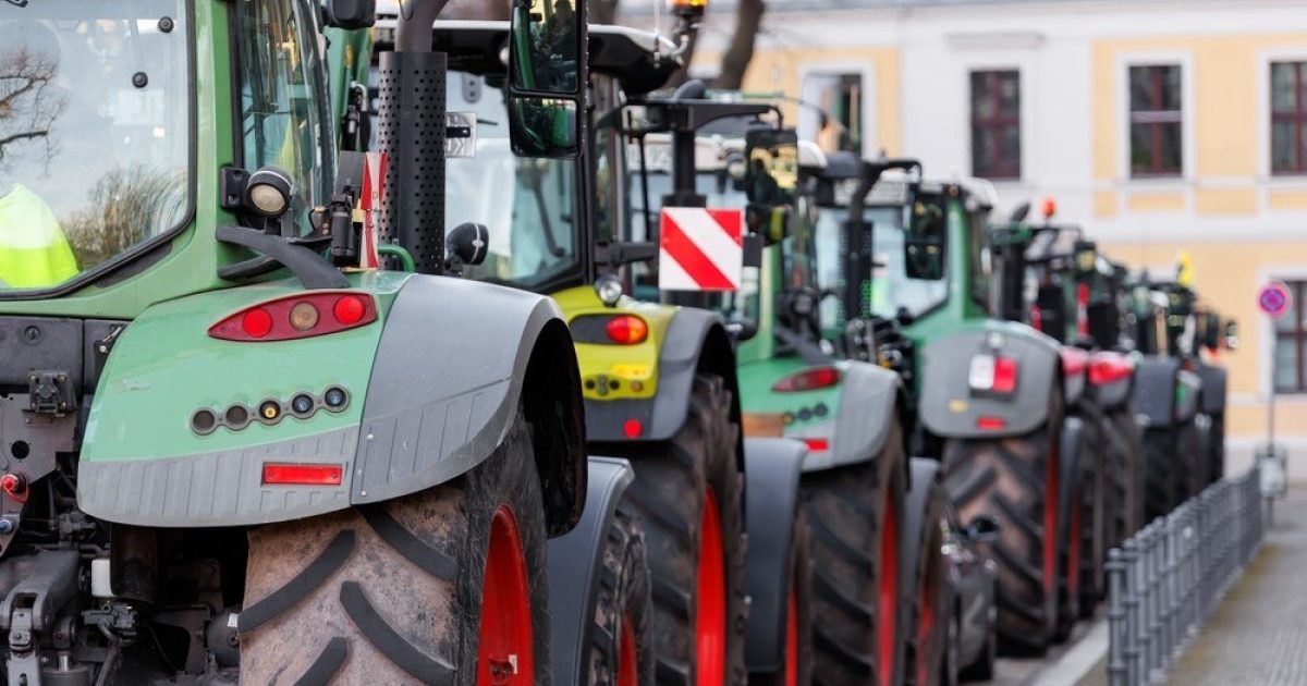 OpenGraph Image for Farmers have 'nothing to lose' and 'could block train tracks and ports', campaigners warn