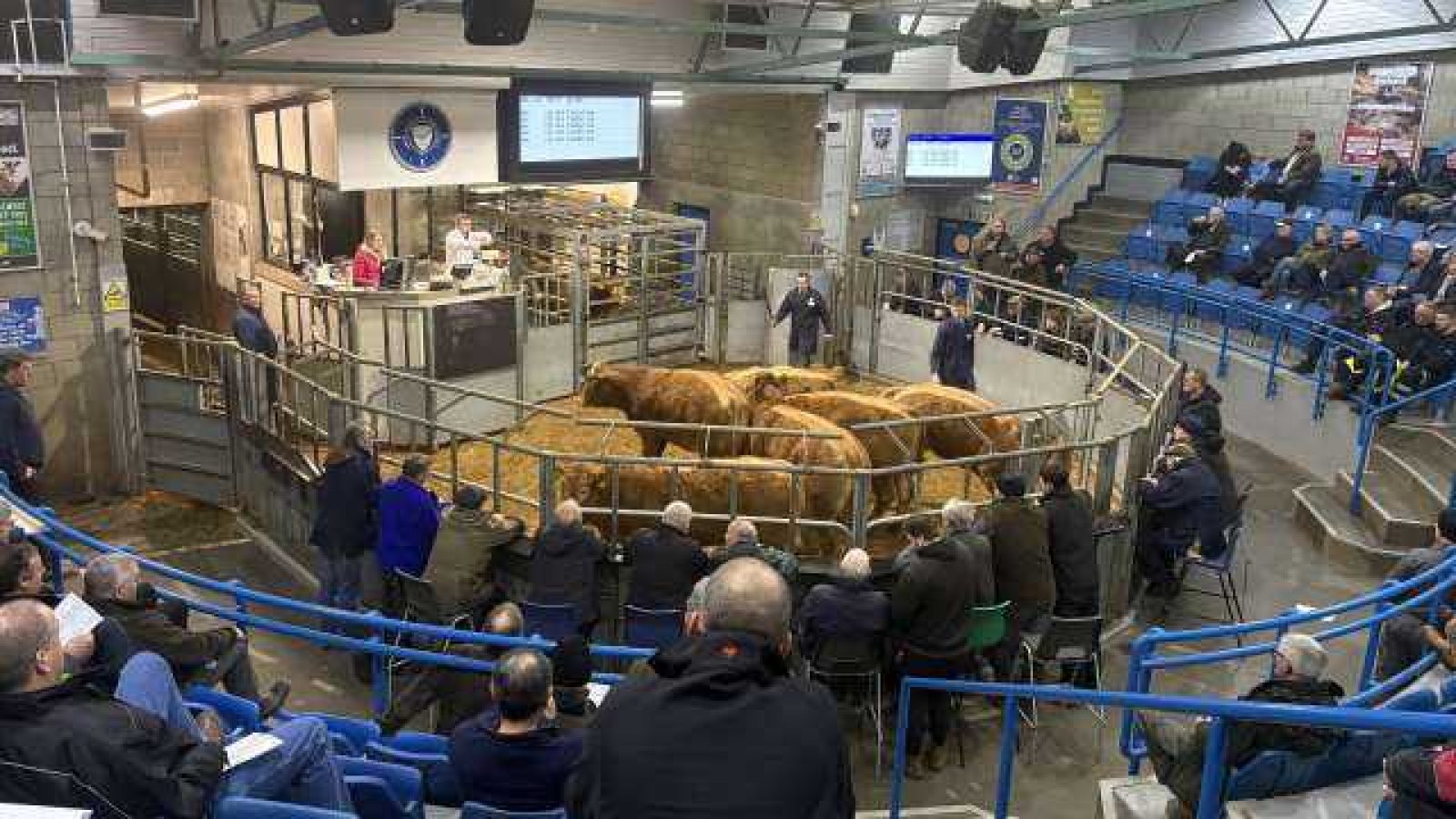 ANM Group unveils 10-year plan to transform Thainstone Mart