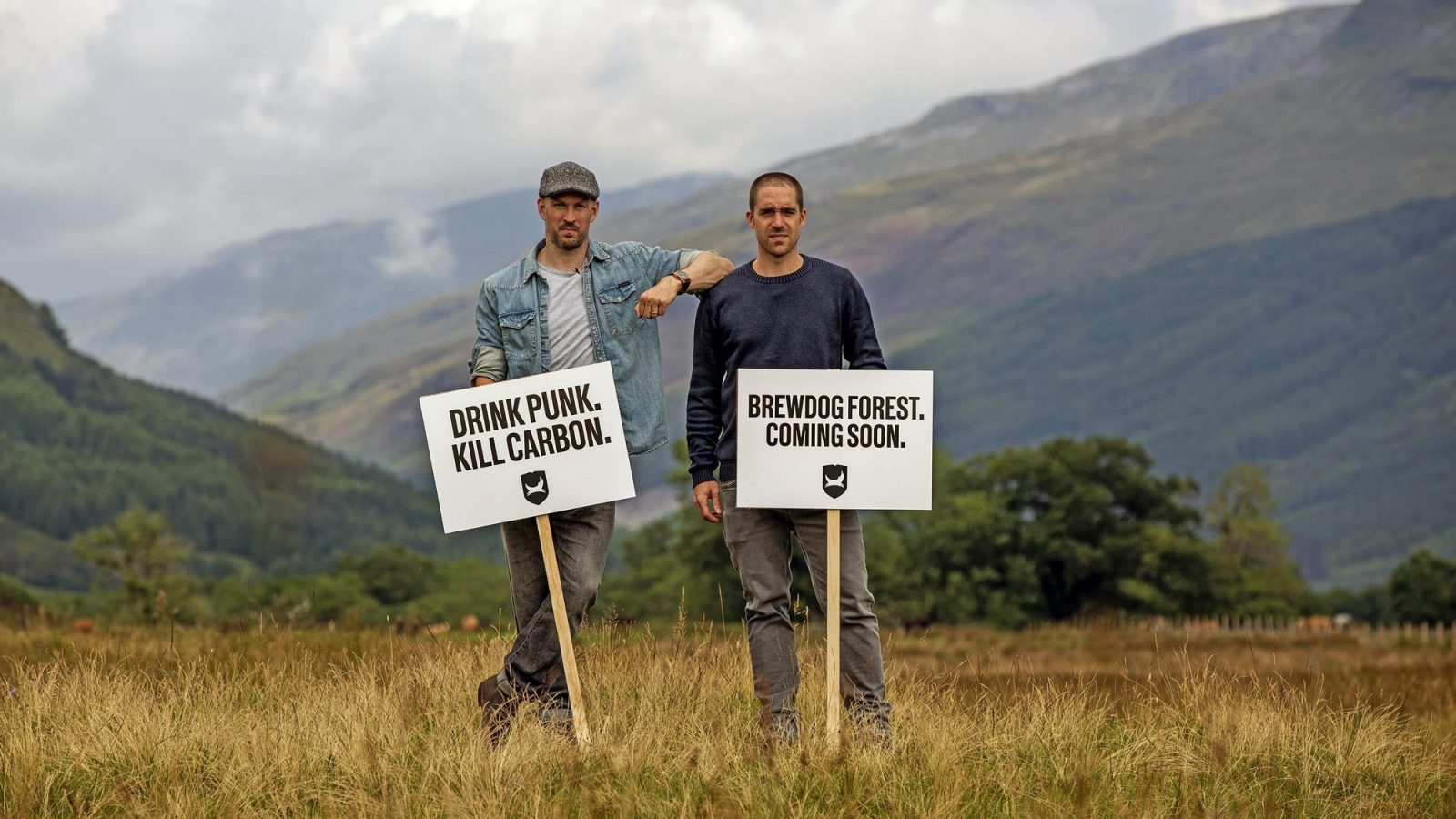 BrewDog sells 9,000-acre Highland ‘Lost Forest’ to conservation group