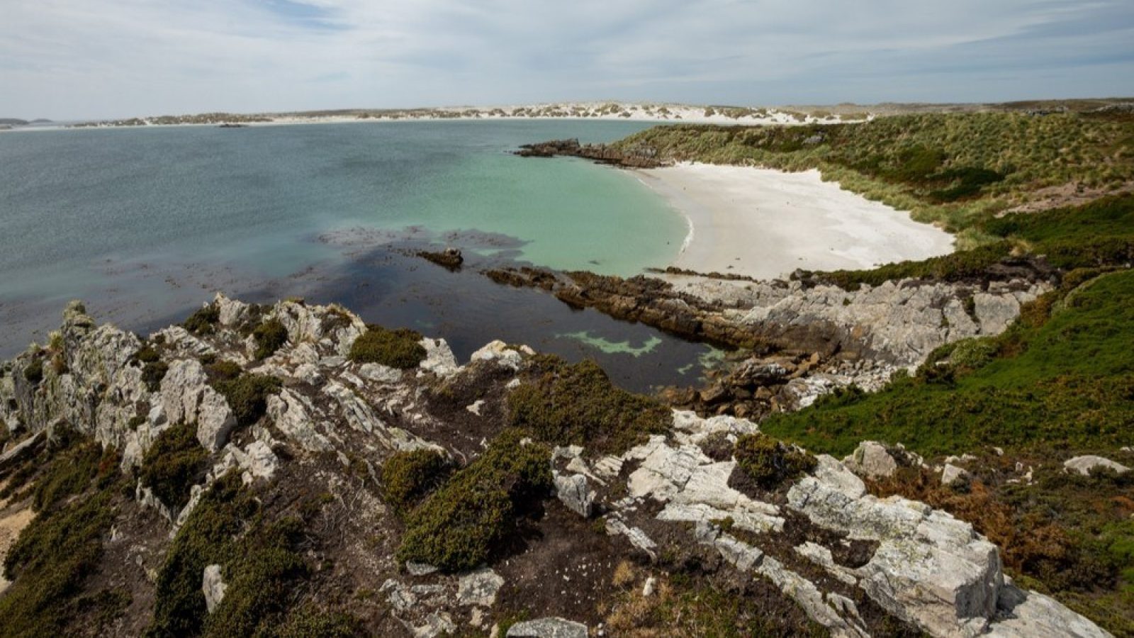 Market Watch: Rockhopper says Argentine threats will not materially impact Falklands oilfield