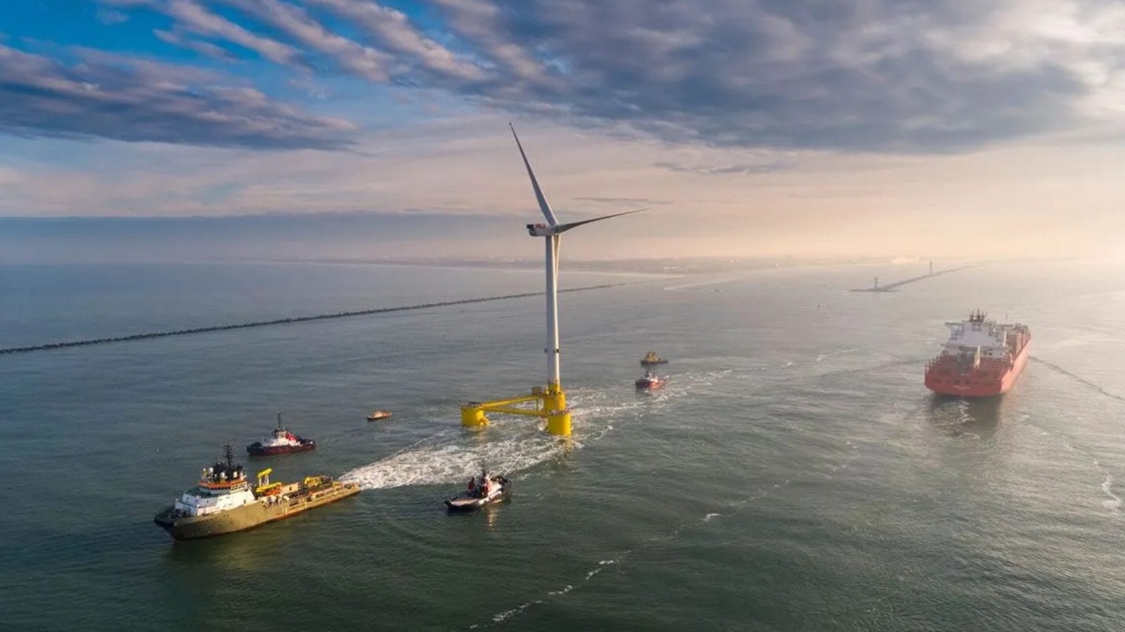 Offshore wind boss warns windfall tax is impacting energy transition