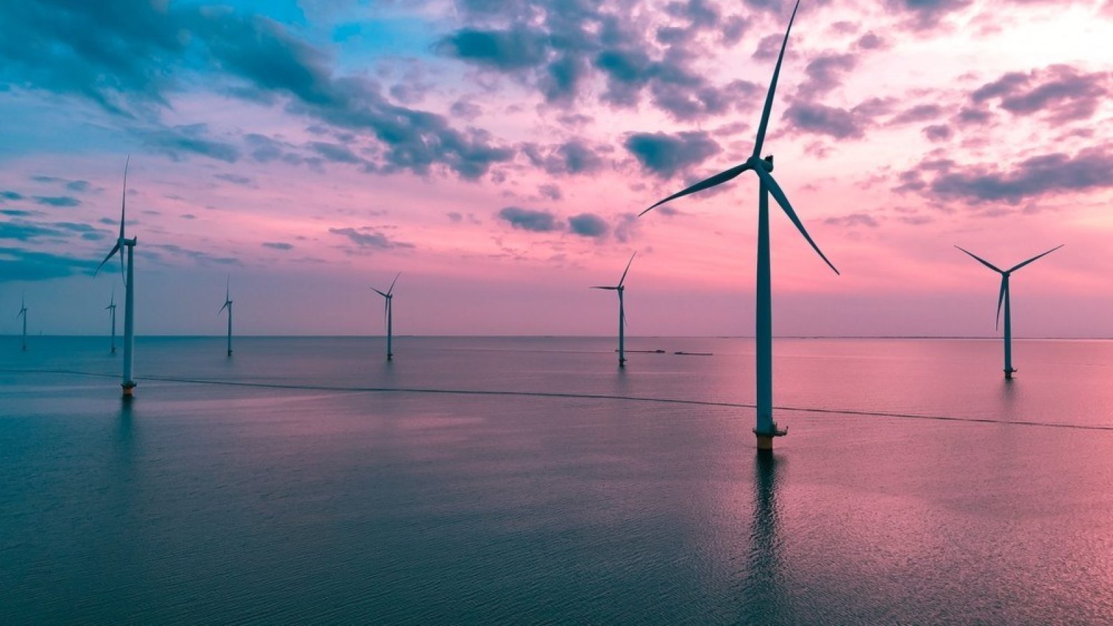 UK must do more to protect North Sea wind farms from attacks, report says