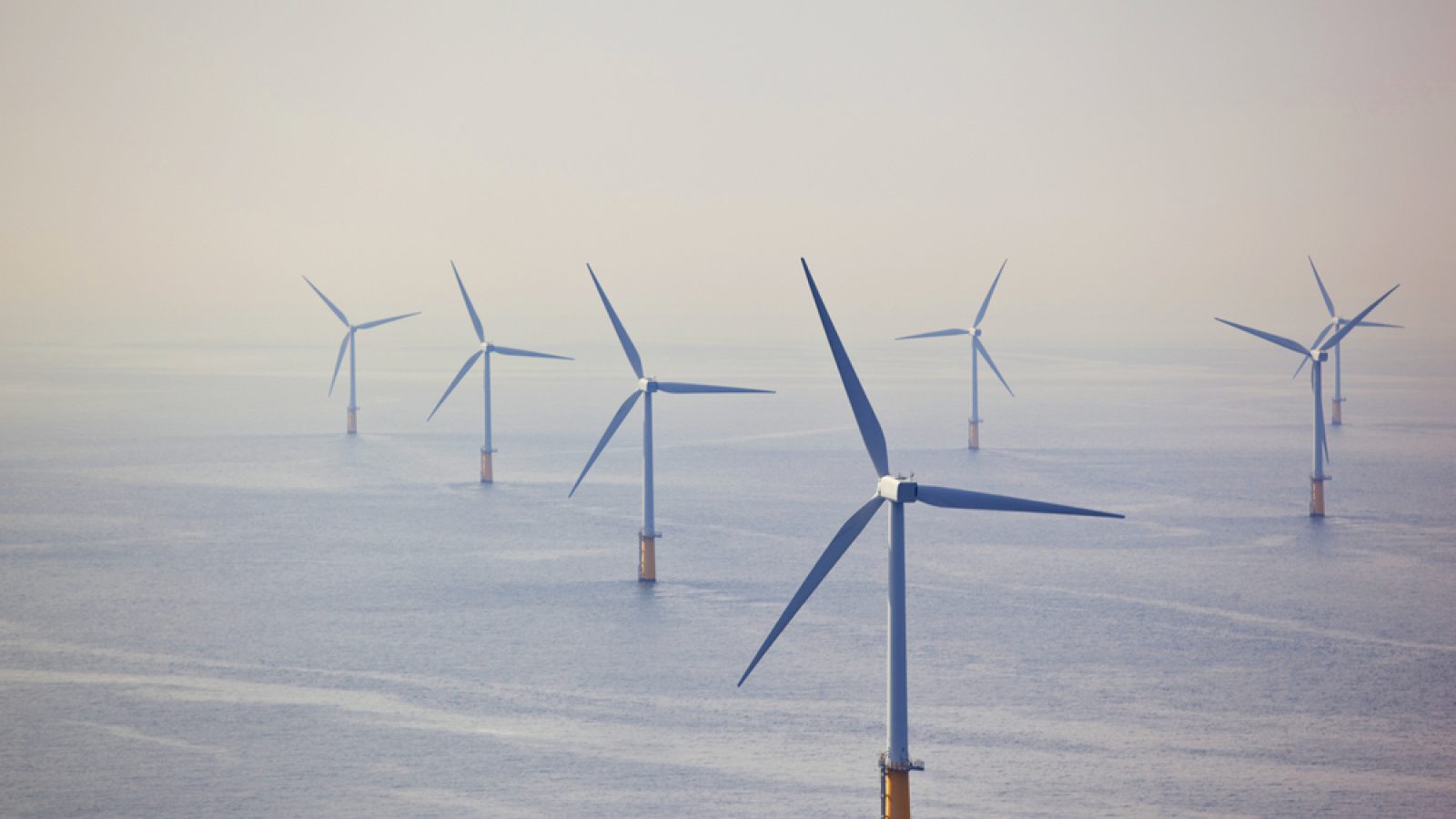 'It's time to be honest about net zero cost' says economist