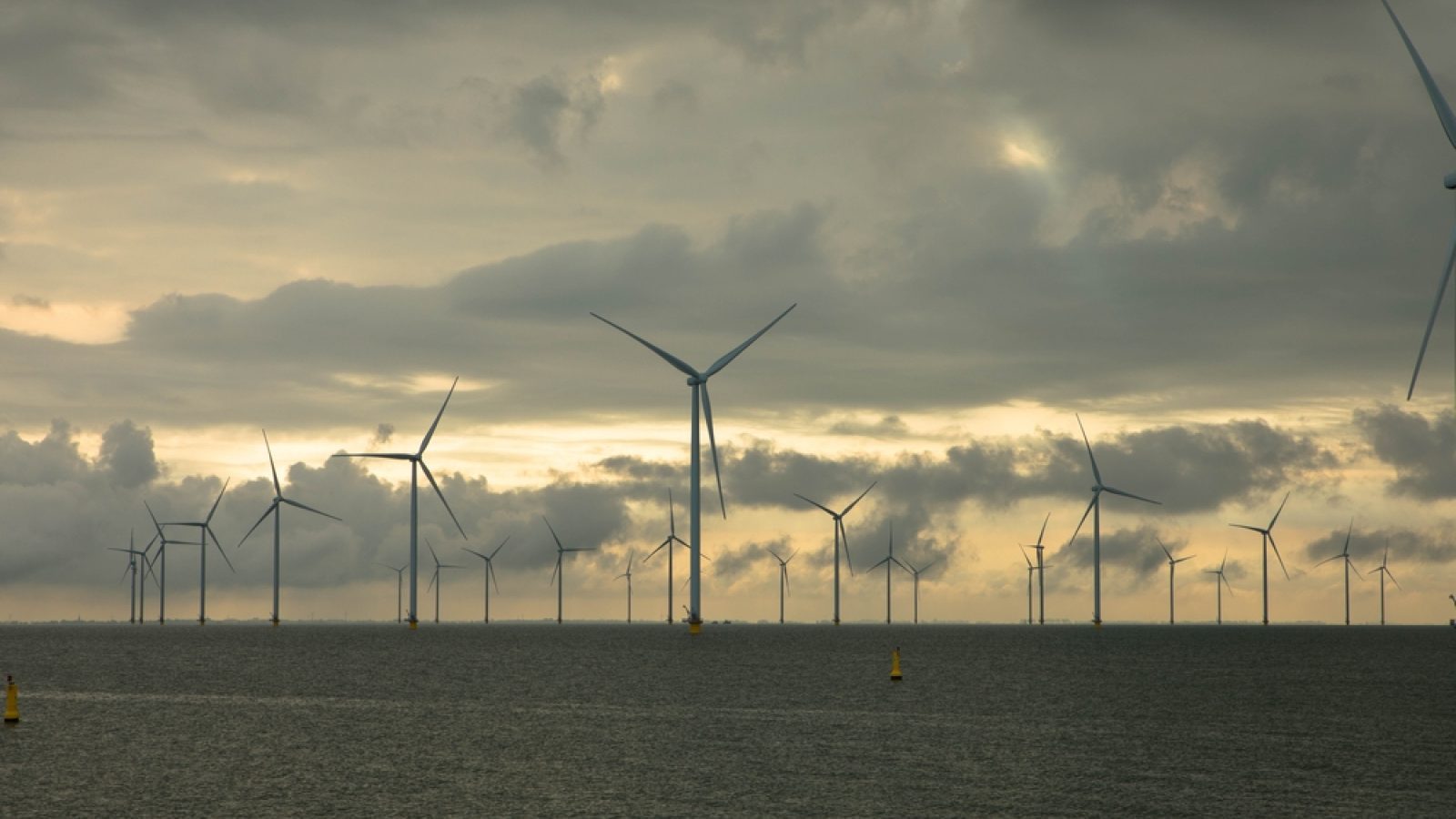 Offshore wind firm 'seeks £40m' to ride-out sector slowdown