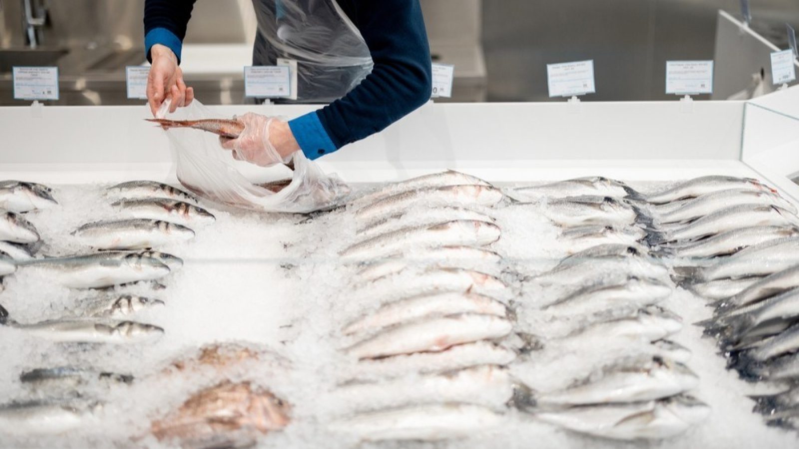 Supermarkets branded 'shameful' for selling Russian fish