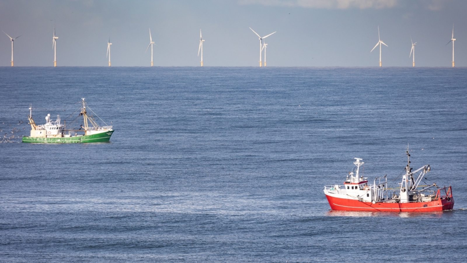 Fishing leaders demand halt to offshore wind consents