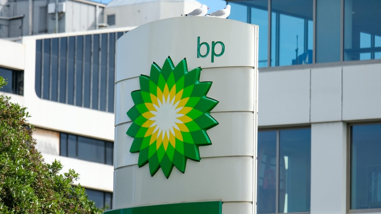 Major changes at BP as Auchincloss steps down