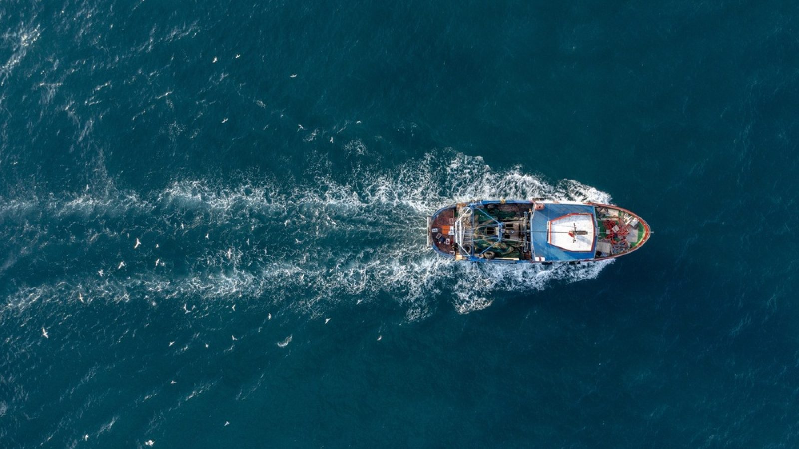 Business asked to help shape the future of Scotland’s seas
