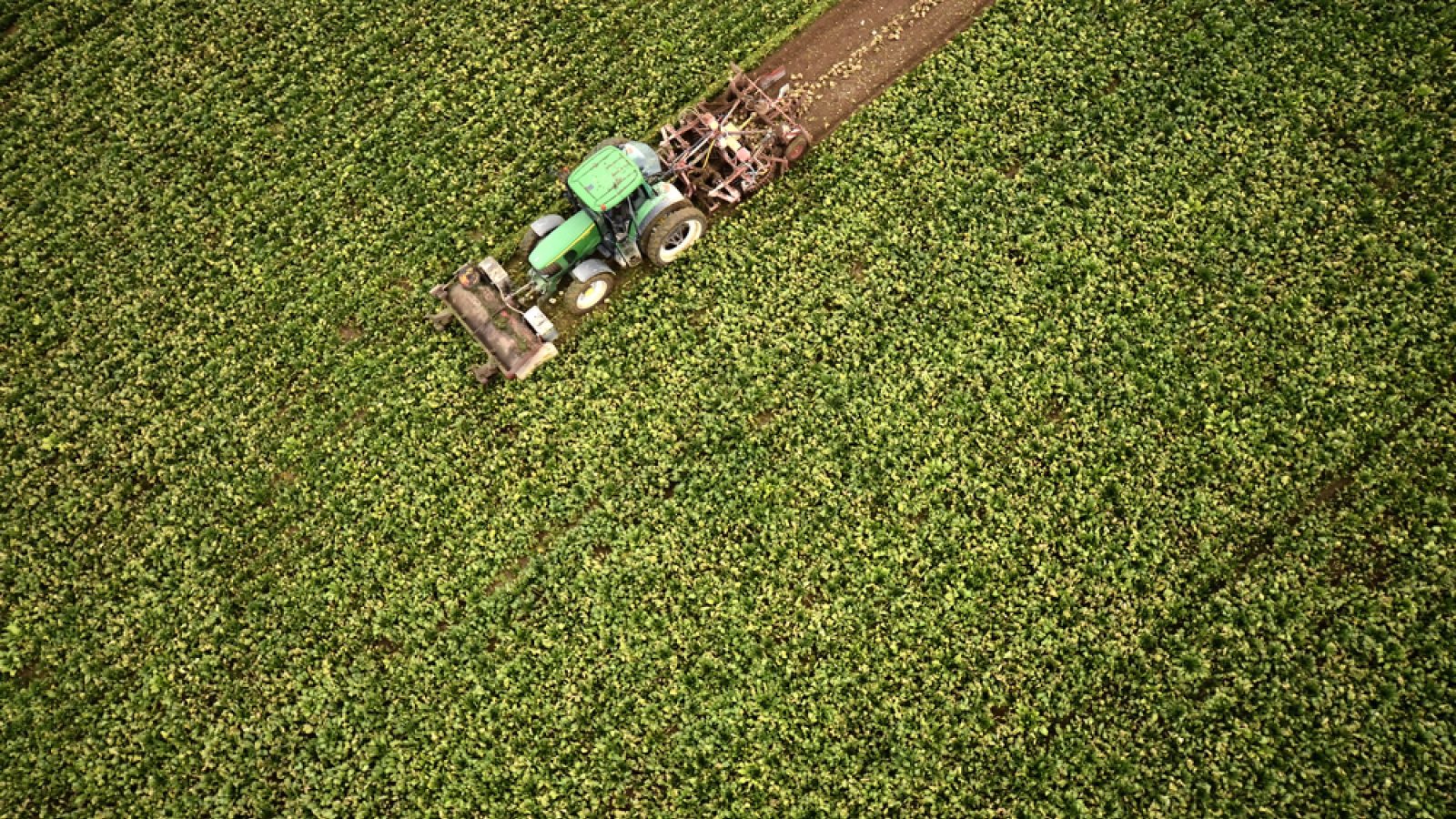 Farmers face £70k losses as Iran conflict drives up costs