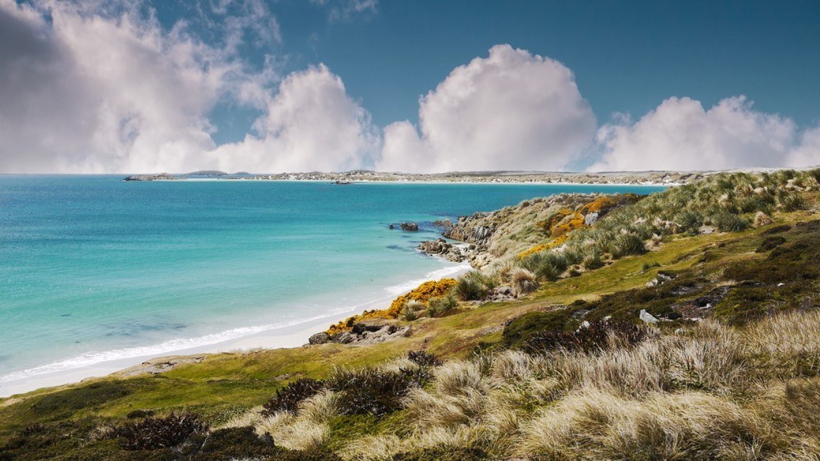 Market Watch: Argentina threatens Britain with legal action over Falklands oilfield