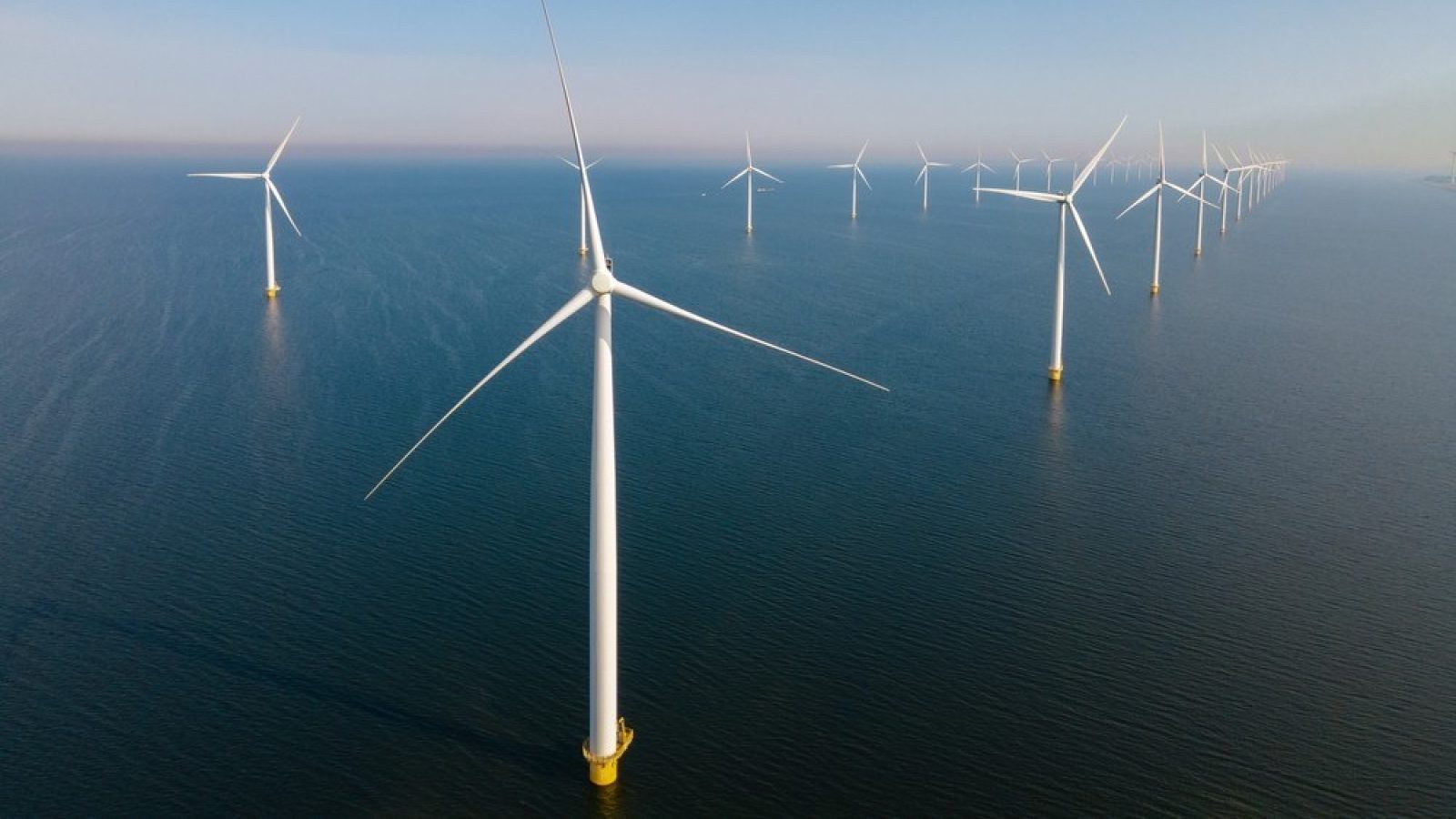 'A great leap forward': AGCC welcomes Berwick Bank wind farms approval